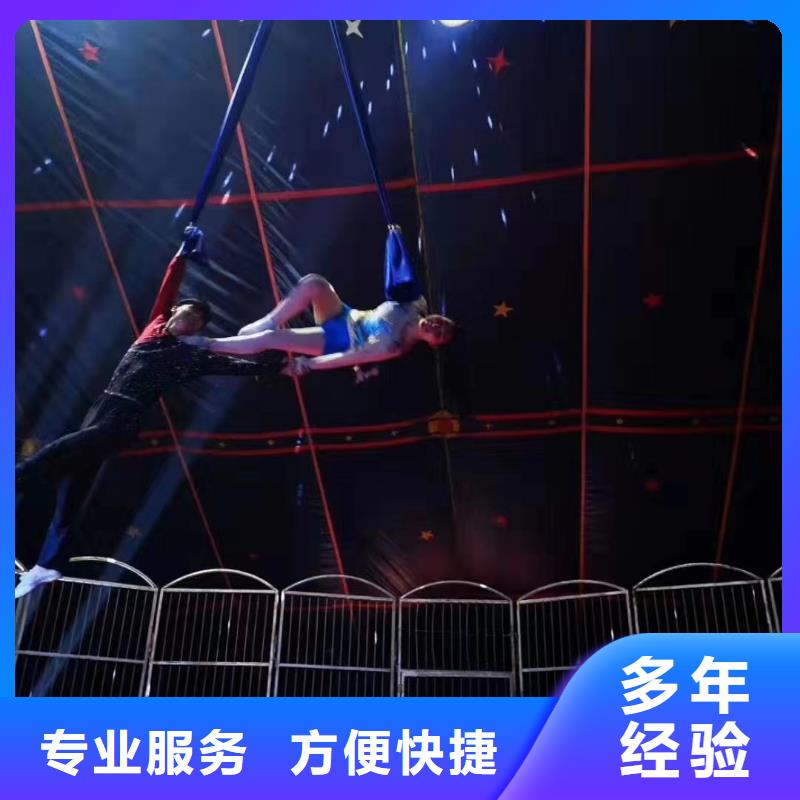 杂技表演视频-杂技表演-浙江省金华市(当地)生产商-磐安|婺城|宁波|嘉兴|舟山|丽水|台州