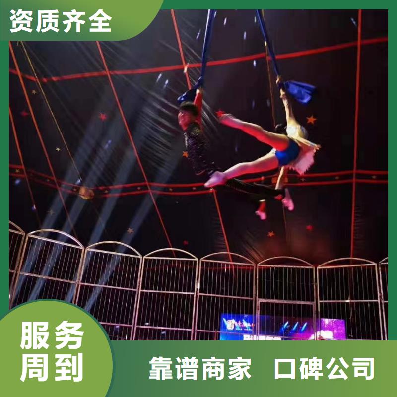 马戏团/羊驼马戏团表演出租