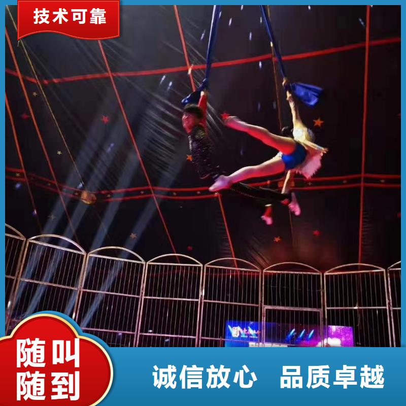 马戏团/羊驼海洋展租赁比同行便宜