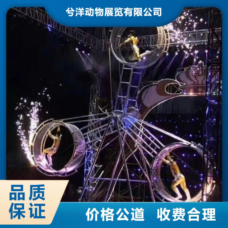 马戏团/羊驼【出租海狮表演】服务至上