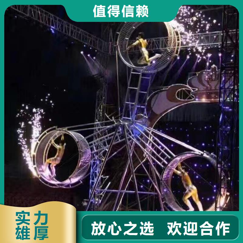 马戏团/羊驼景区杂技表演实力雄厚