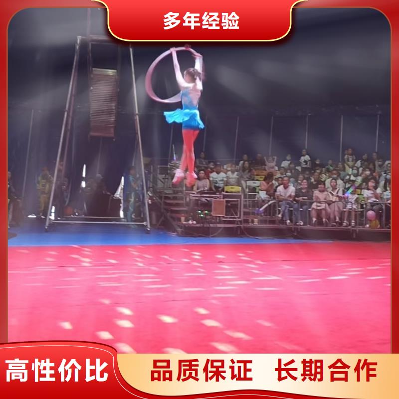 马戏团/羊驼 出租表演鹦鹉拒绝虚高价