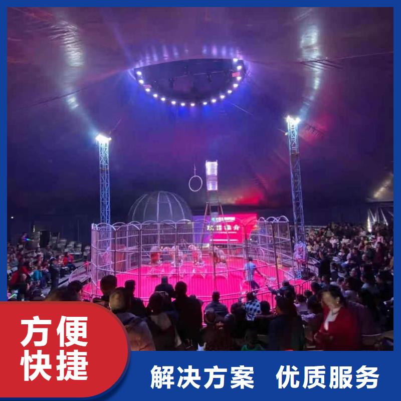 马戏团/羊驼【企鹅表演出租】实力强有保证