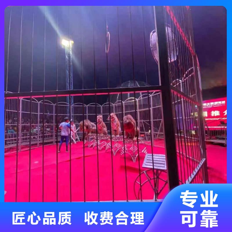 马戏团/羊驼表演动物出租值得信赖