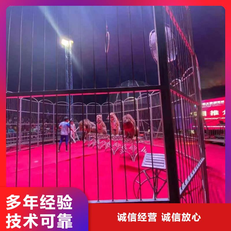 【马戏团/羊驼】海洋展租赁快捷 兮洋动物展览(抚顺市分公司)