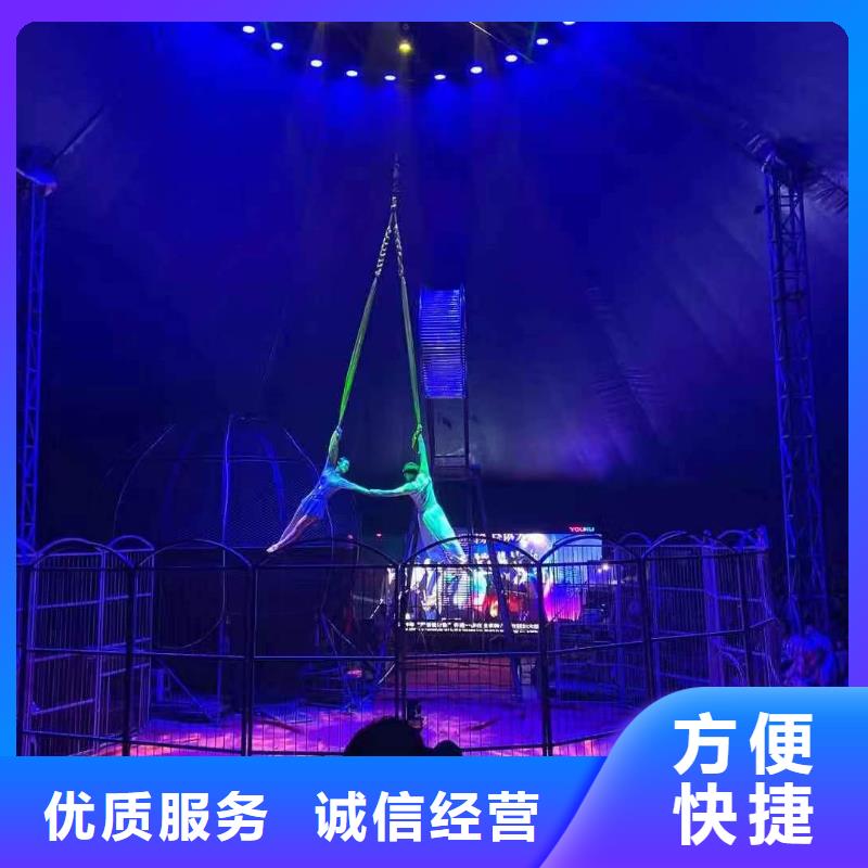 【马戏团/羊驼】-海狮表演出租明码标价-兮洋动物展览(云南省分公司)-阿奇乐乐