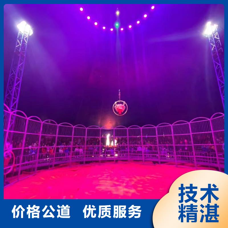 马戏团/羊驼羊驼出租售后保障