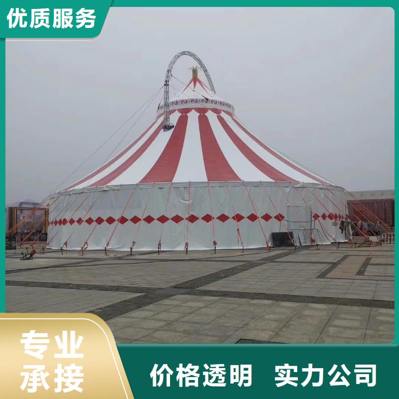 马戏团/羊驼出租羊驼信誉良好
