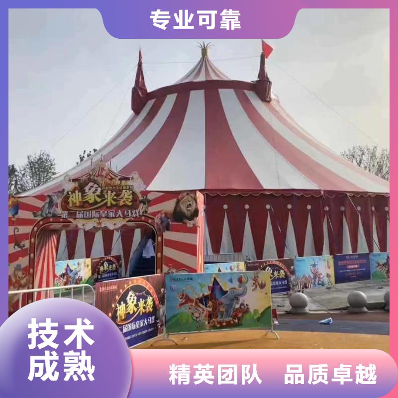 马戏团/羊驼_驯兽表演有实力