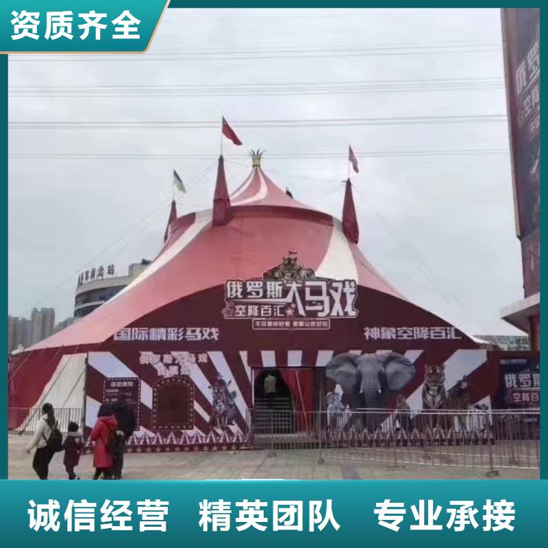 马戏团/羊驼【海狮表演】从业经验丰富
