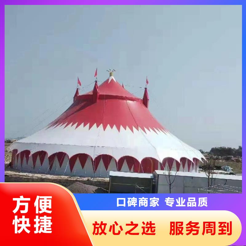 马戏团/羊驼_出租动物表演专业服务