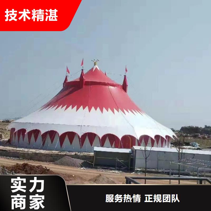 马戏团/羊驼-海狮表演出租品质保证