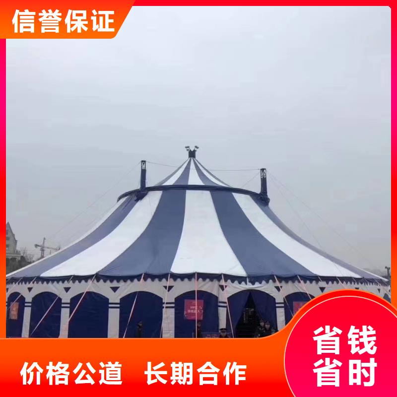 马戏团/羊驼_企鹅租赁质量保证