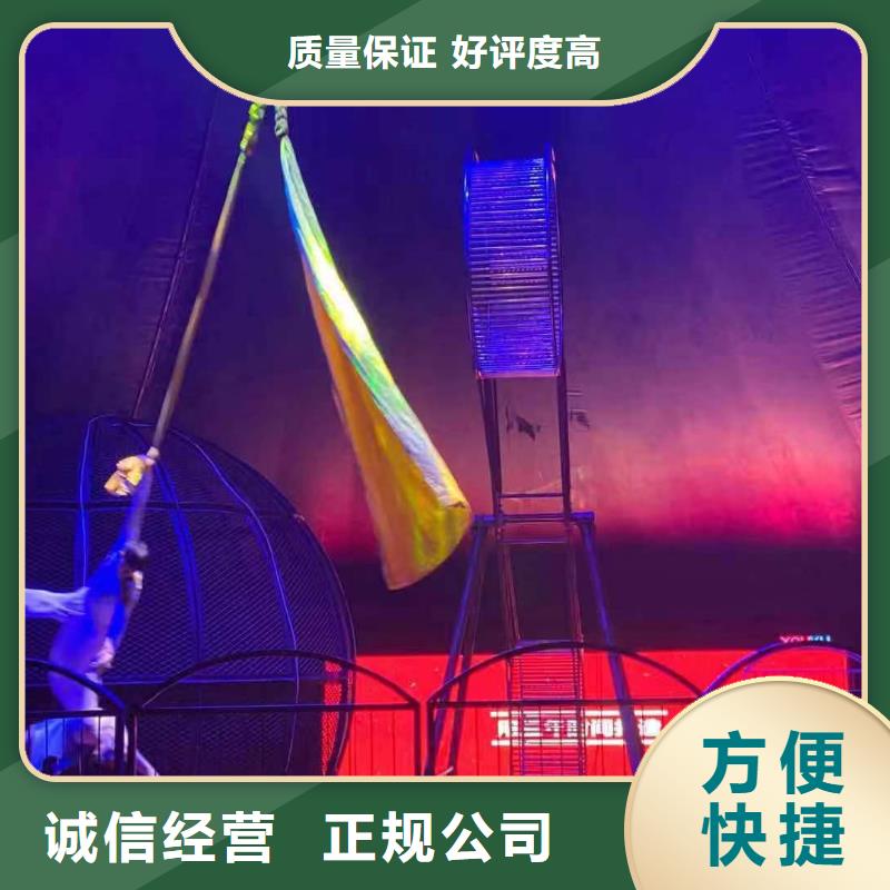 马戏团/羊驼表演动物出租免费咨询