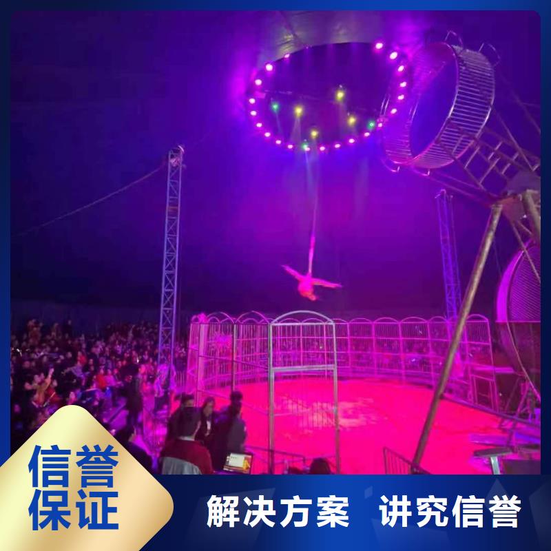 马戏团/羊驼 马戏团出租 讲究信誉