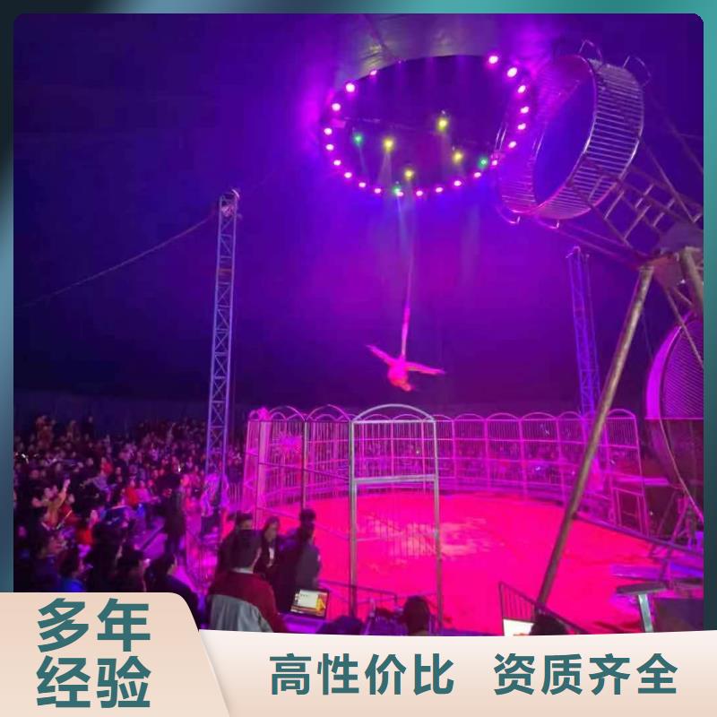 马戏团/羊驼【马戏团出租 】省钱省时