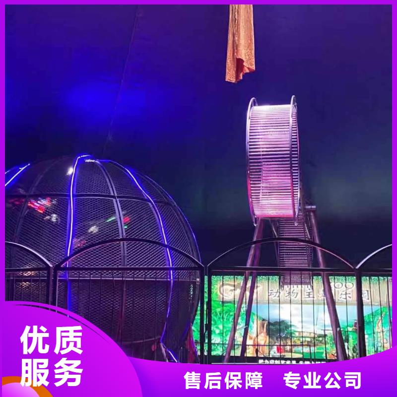 马戏团/羊驼出租羊驼2025专业的团队