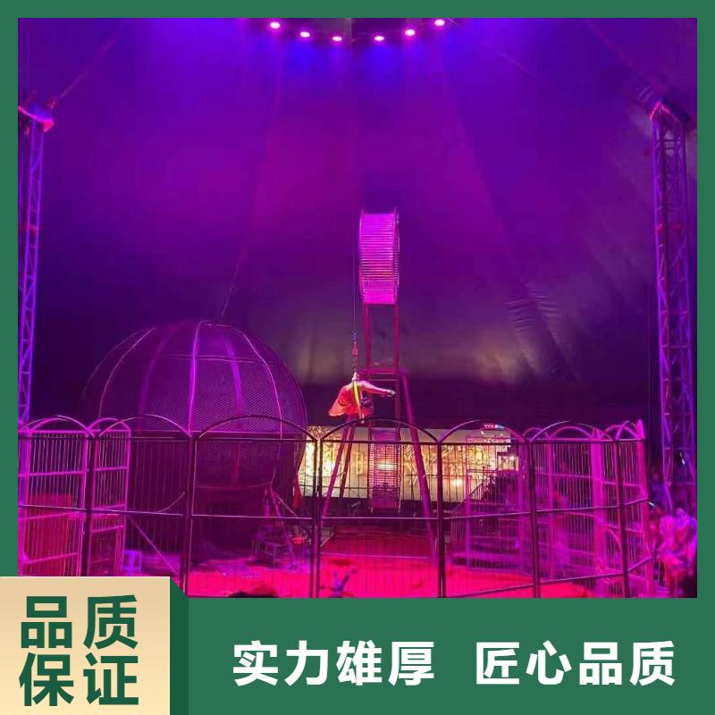 马戏团/羊驼羊驼出租遵守合同