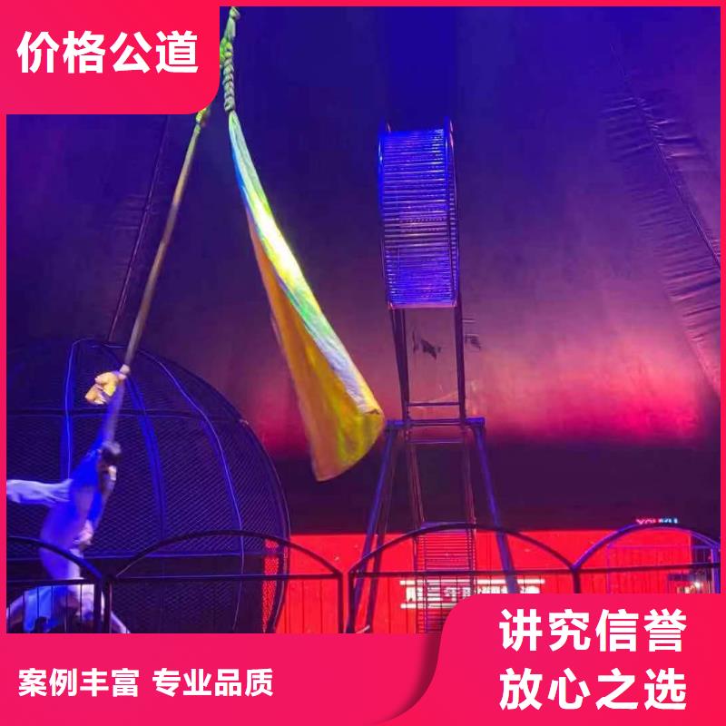 马戏团/羊驼-驯兽表演先进的技术
