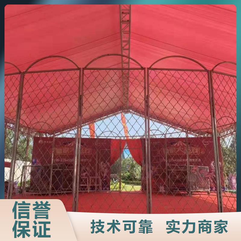 马戏团/羊驼 出租表演企鹅实力强有保证