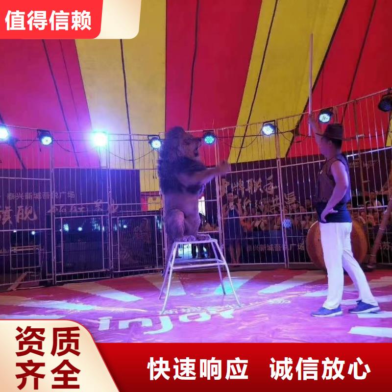 马戏团/羊驼 企鹅出租收费合理
