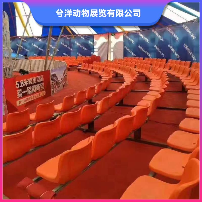马戏团/羊驼_【海狮租赁表演】服务热情