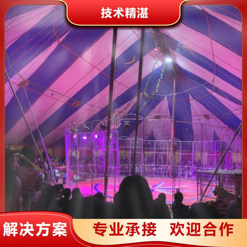 马戏团/羊驼美人鱼表演解决方案