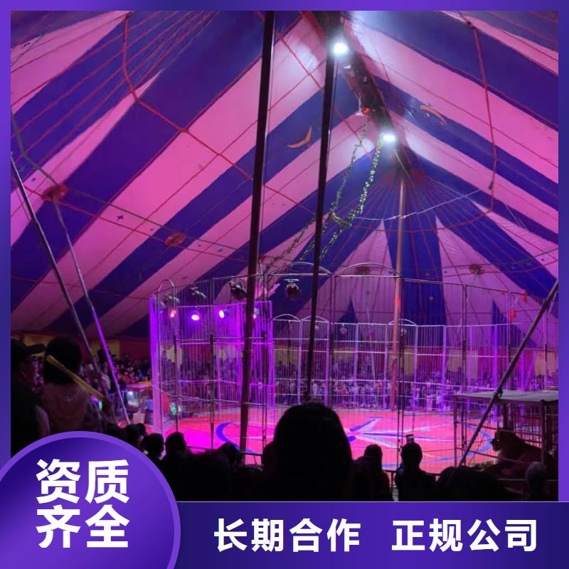 马戏团/羊驼鹦鹉表演租赁服务热情