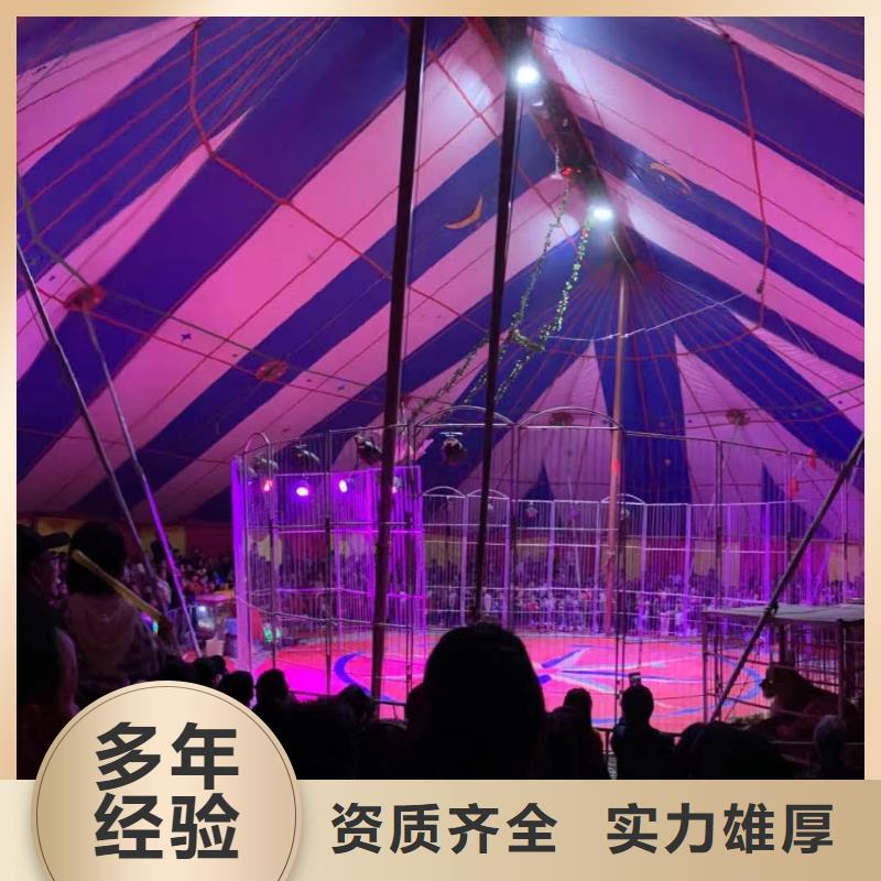 【马戏团/羊驼死轮表演专业团队】
