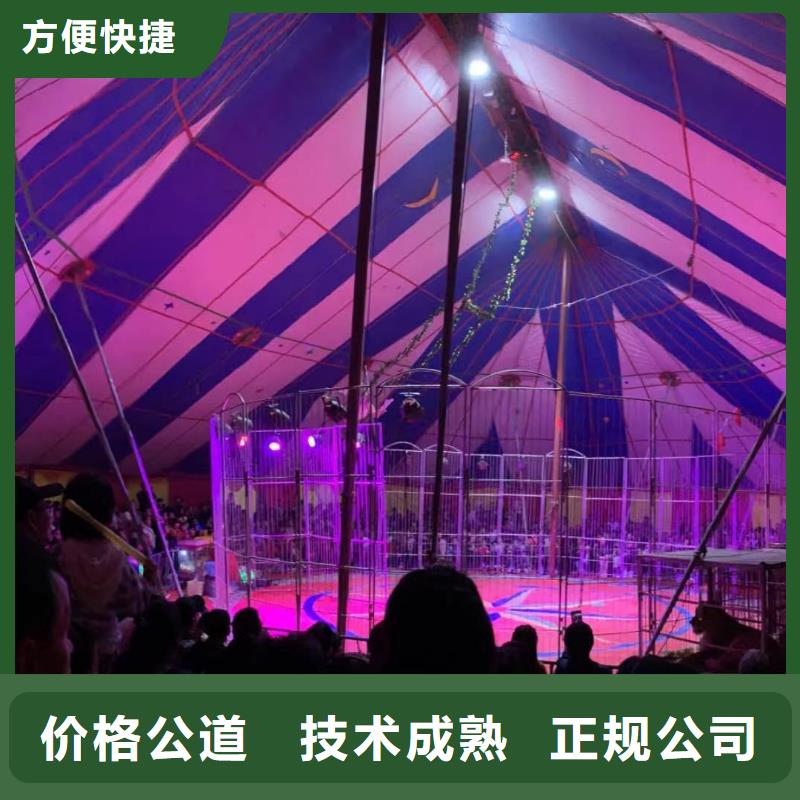 马戏团/羊驼 马戏团表演出租租赁诚信放心