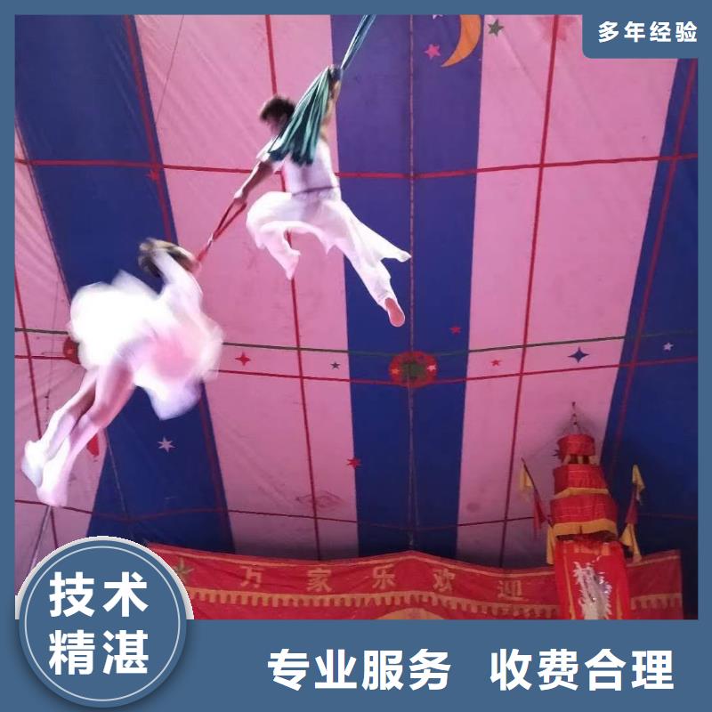 马戏团/羊驼杂耍演出诚信经营