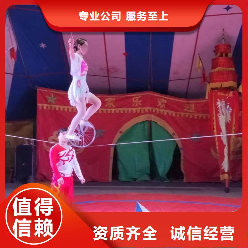 马戏团/羊驼海狮表演出租齐全