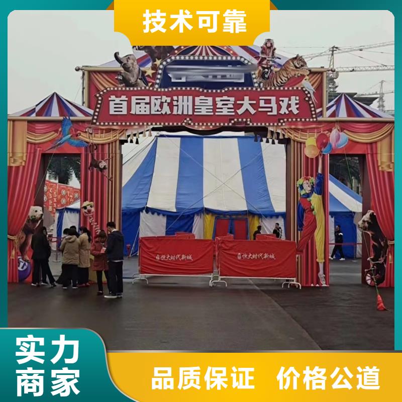 【马戏团/羊驼】鹦鹉表演租赁匠心品质