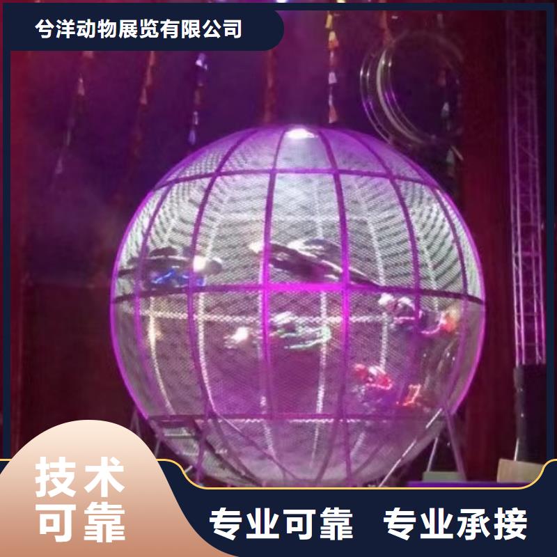 马戏团/羊驼,租赁美人鱼表演2025公司