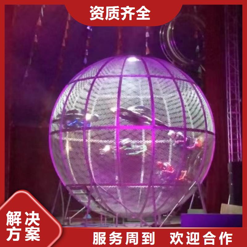 马戏团/羊驼 马戏团出租 讲究信誉