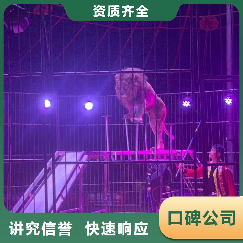 【马戏团/羊驼死轮表演专业团队】
