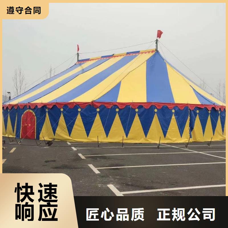 马戏团/羊驼-企鹅出租表演价格低于同行
