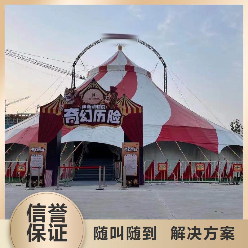 马戏团/羊驼出租羊驼服务热情
