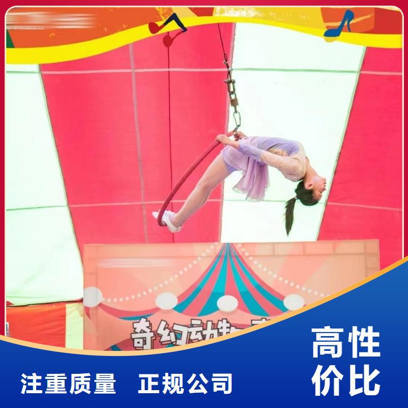 马戏团/羊驼出租羊驼方便快捷