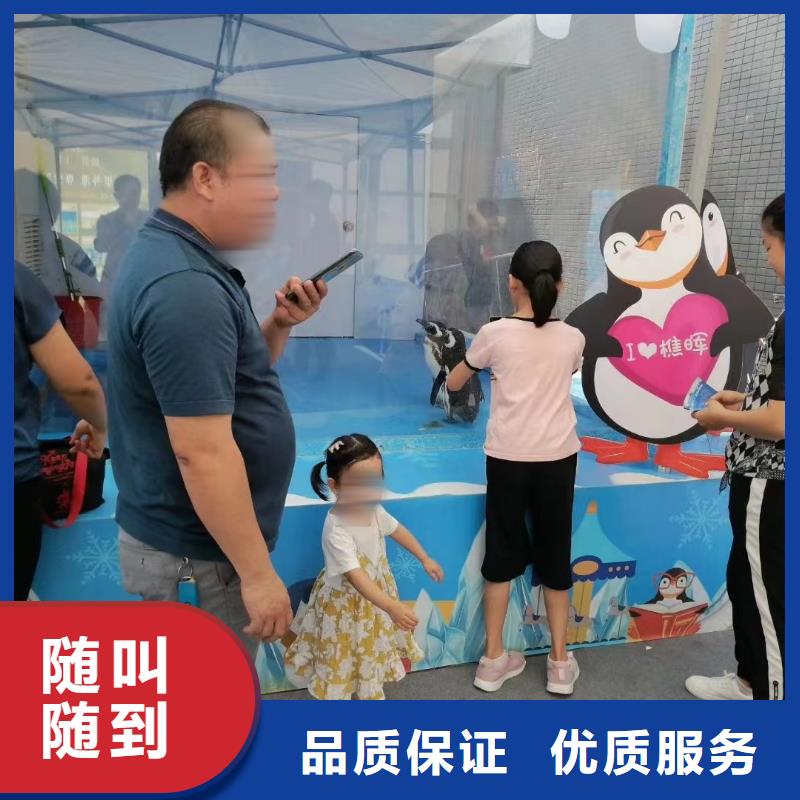 杂技表演视频-杂技表演|甘肃省|兰州|金昌|平凉|天水|白银