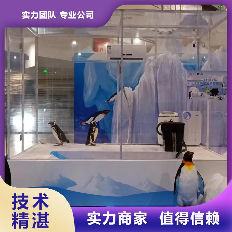 海洋主题动物表演房地产开盘庆典诚信