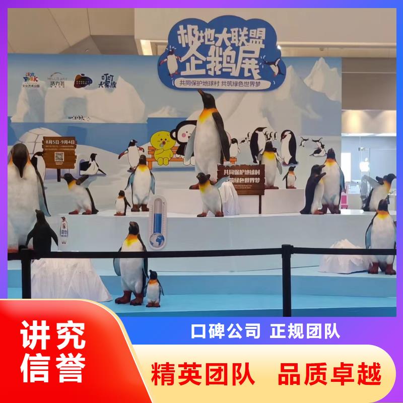 海洋主题动物表演_【鹦鹉表演出租】口碑商家