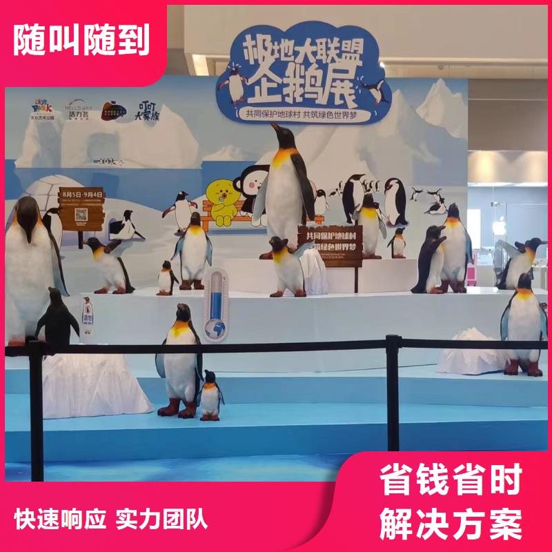 海洋主题动物表演小马戏表演出租口碑商家