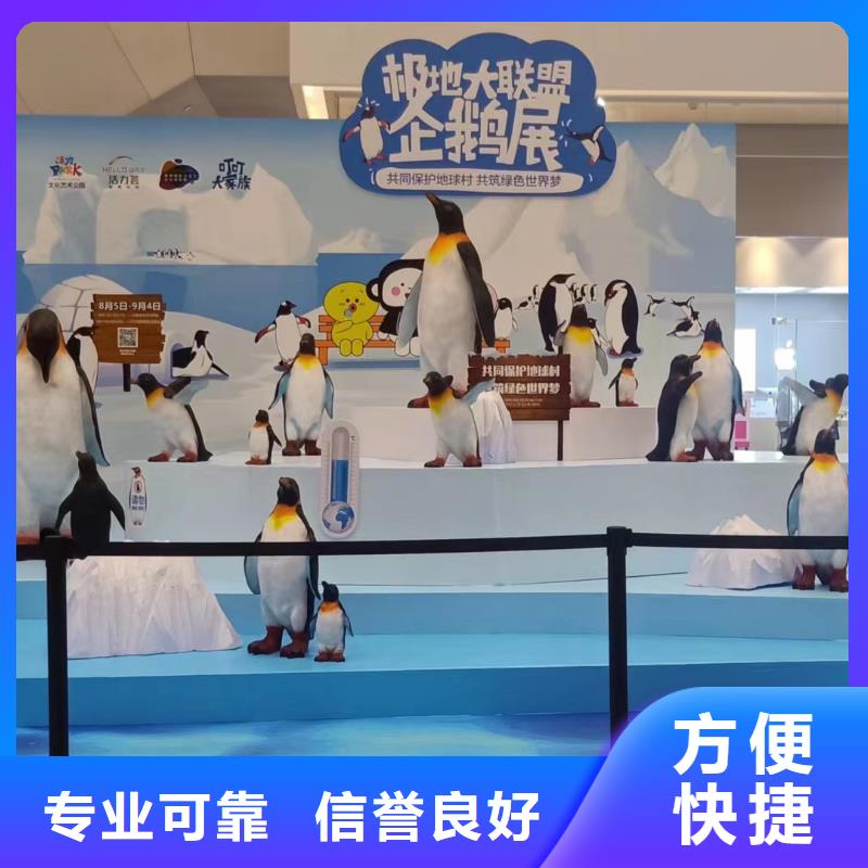 海洋主题动物表演_企鹅出租实力商家