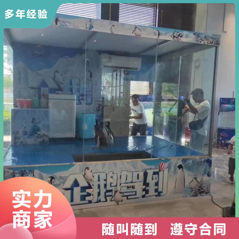 海洋主题动物表演马戏团表演出租遵守合同