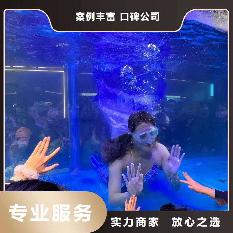 【海洋主题动物表演】鹦鹉表演租赁专业团队