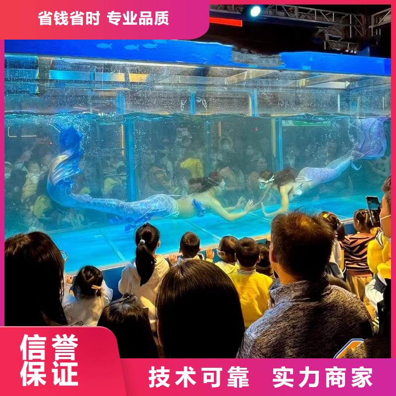 海洋主题动物表演,羊驼出租专业可靠