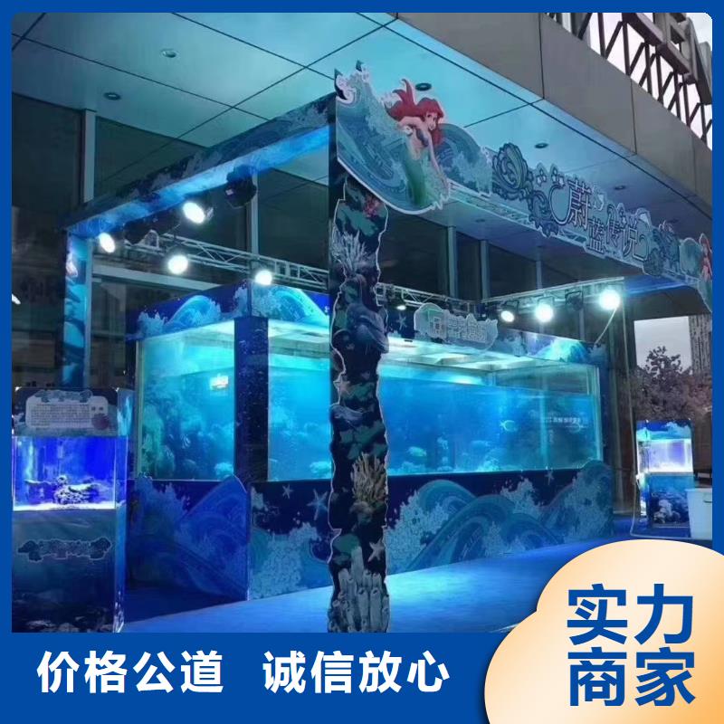 海洋主题动物表演_海狮表演出租口碑商家
