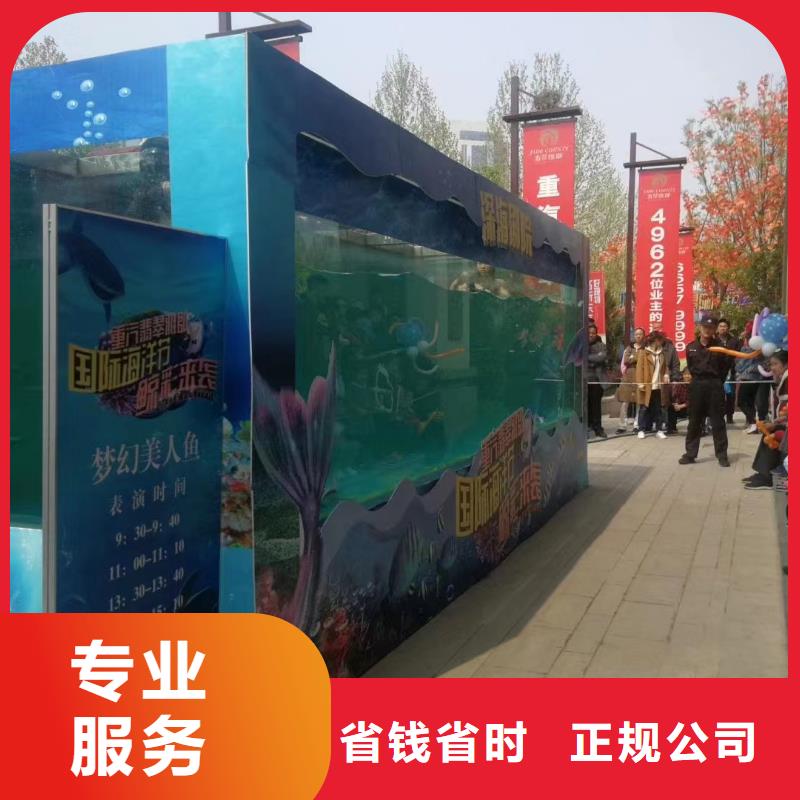 海洋主题动物表演 海狮演出有实力