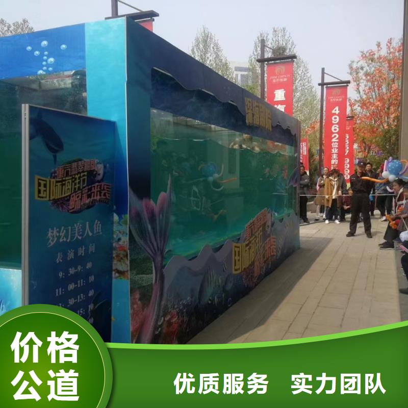 【海洋主题动物表演】动物表演出租专业团队